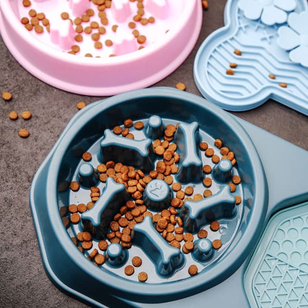 Alimentación, higiene y protección antiparasitaria para tu mascota