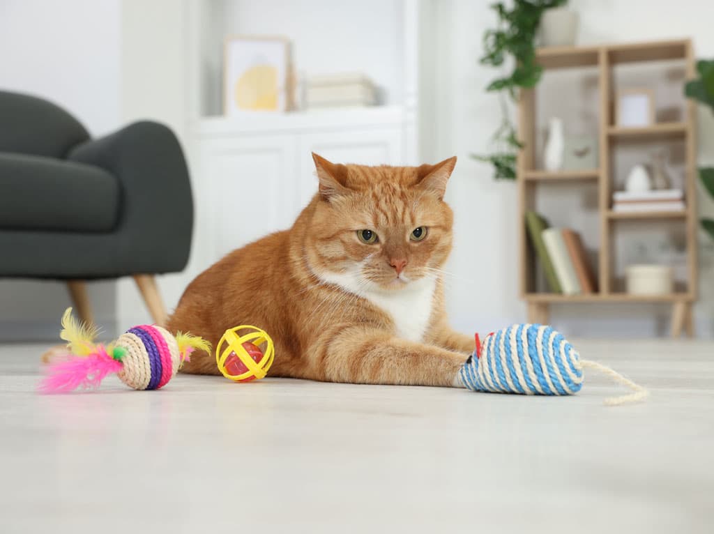 Tienda de mascotas en Narón